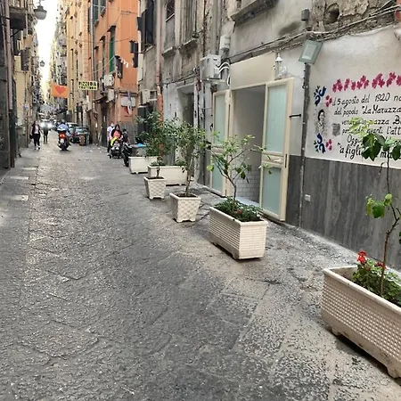 Apartman Ciko *