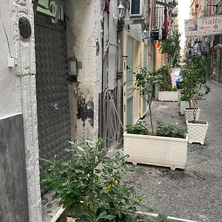 Ciko Napoli